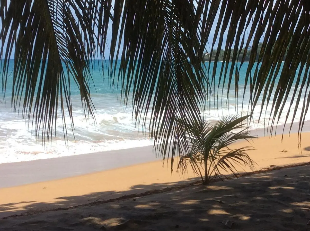 Les Manguiers Villa Deshaies Holiday home