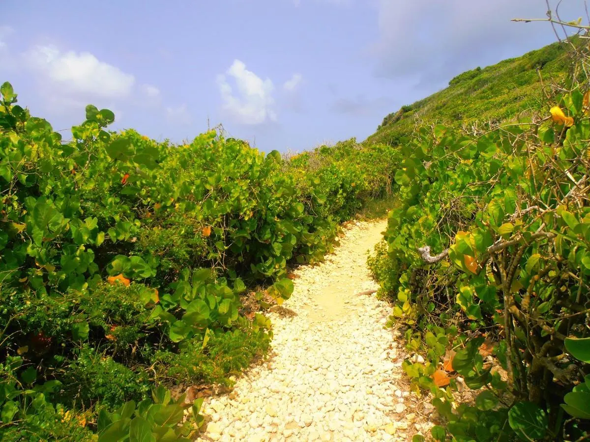 Les Manguiers Villa Deshaies